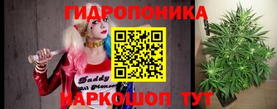 стафф Будённовск