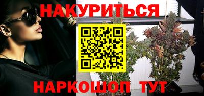 стафф Будённовск